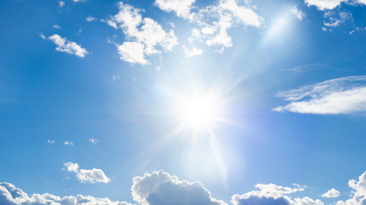 Allah will never disgrace you